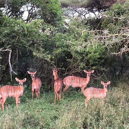 Msunduze River Lodge Mkuze Bagian luar foto