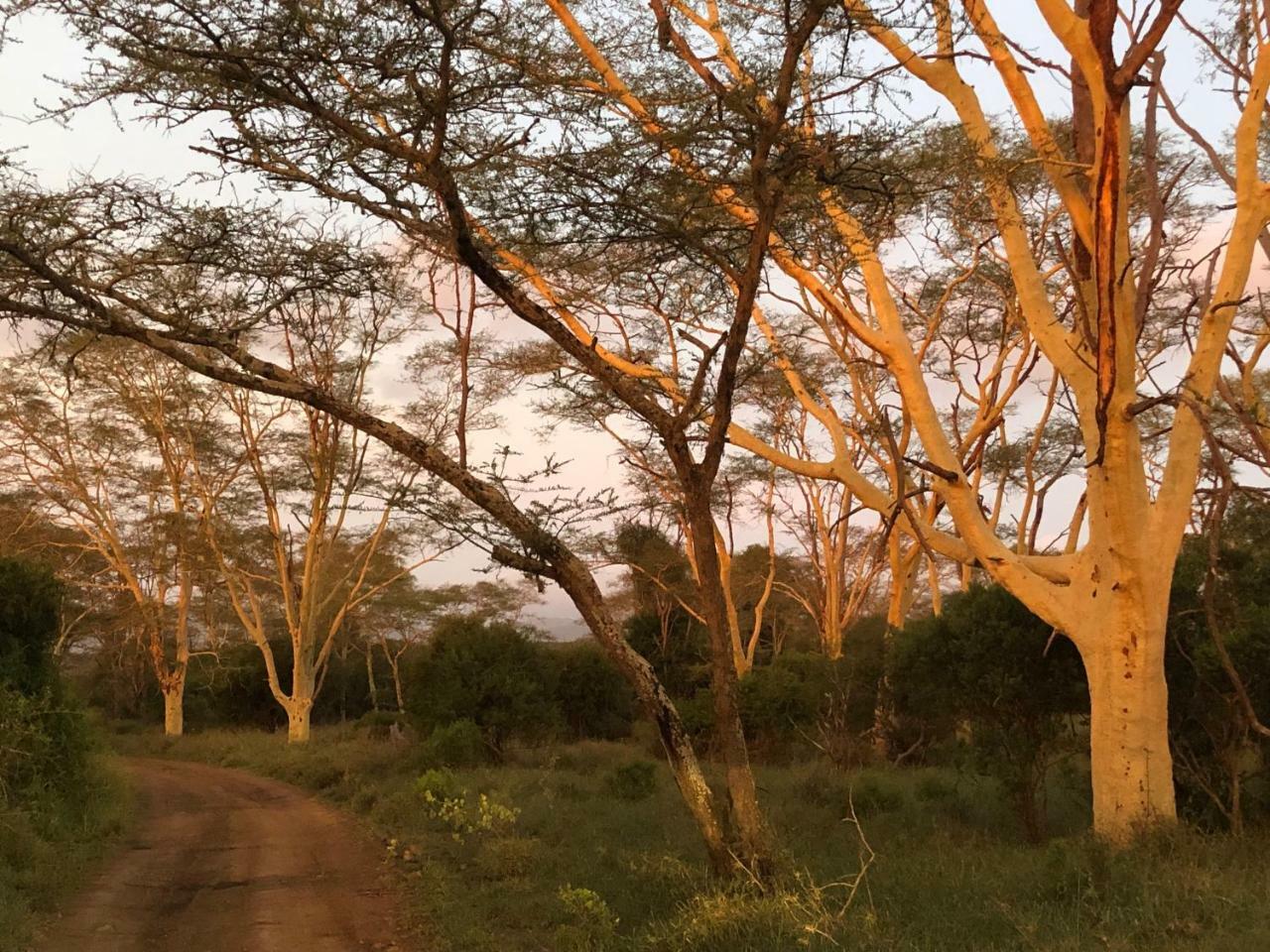 Msunduze River Lodge Mkuze Bagian luar foto